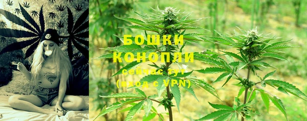 СК Вяземский
