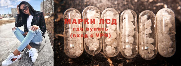 СК Вяземский